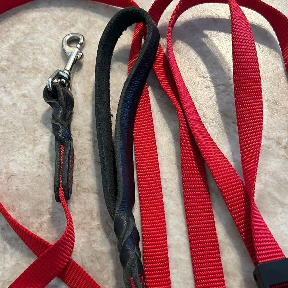 Dog Leash Bundle - Picture 4 of 4